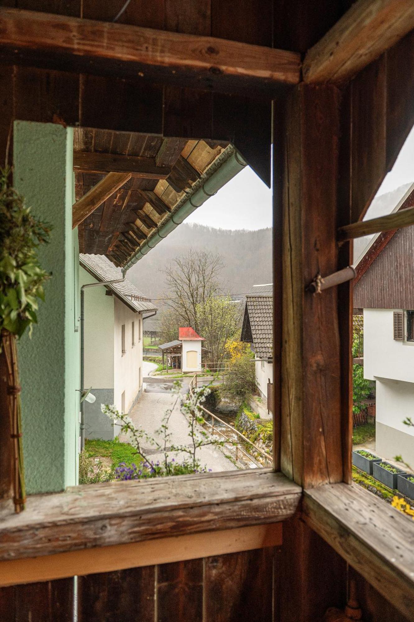 Zelena Hisa Pri Bjov Apartment Bohinjska Bela Luaran gambar