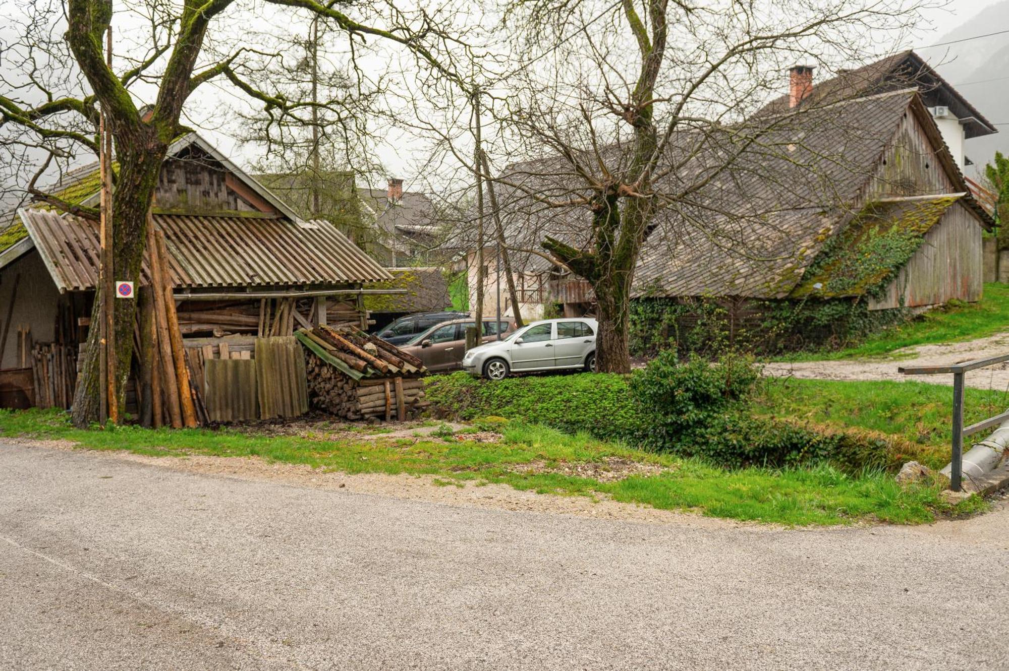 Zelena Hisa Pri Bjov Apartment Bohinjska Bela Luaran gambar