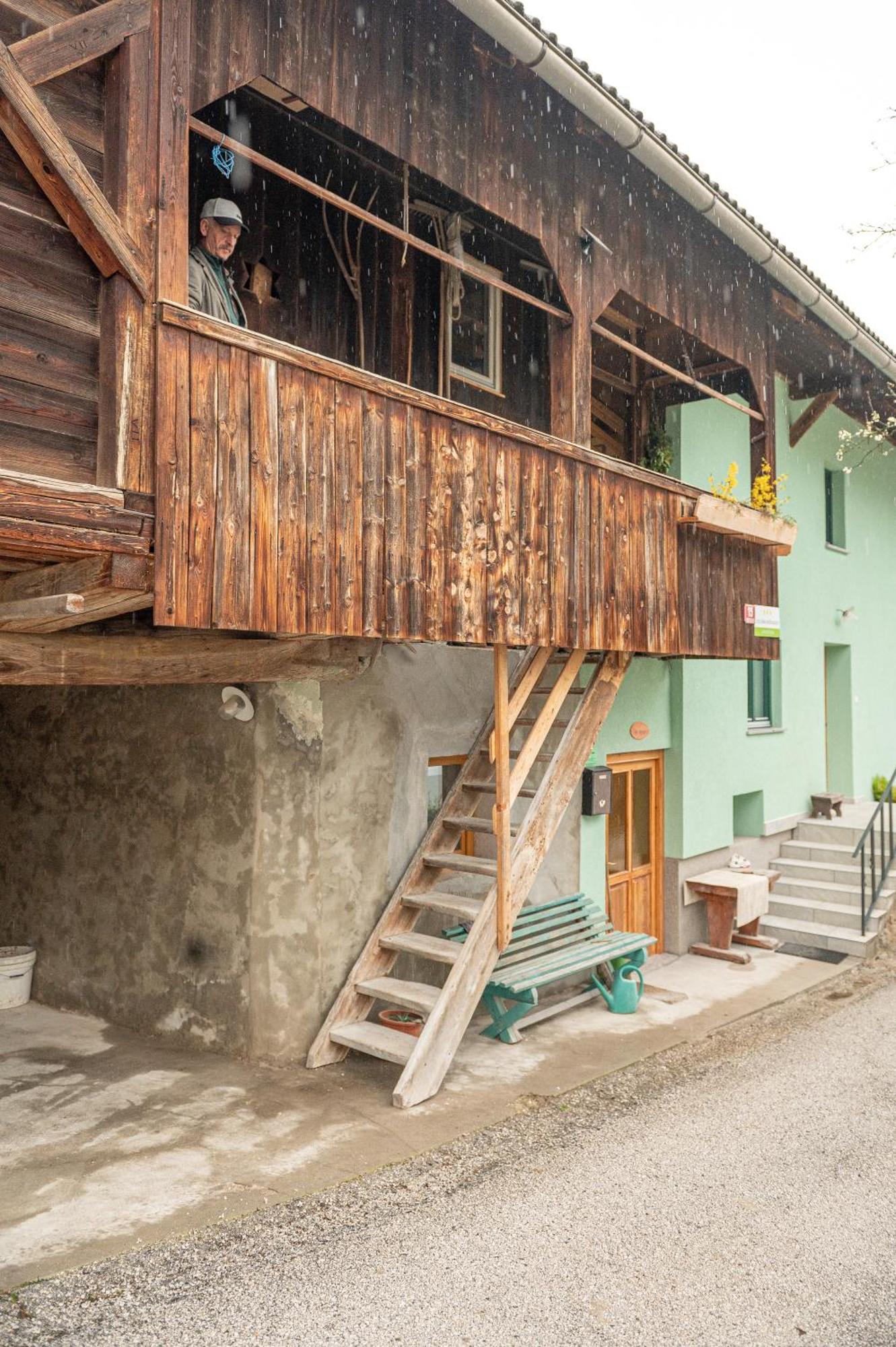 Zelena Hisa Pri Bjov Apartment Bohinjska Bela Luaran gambar