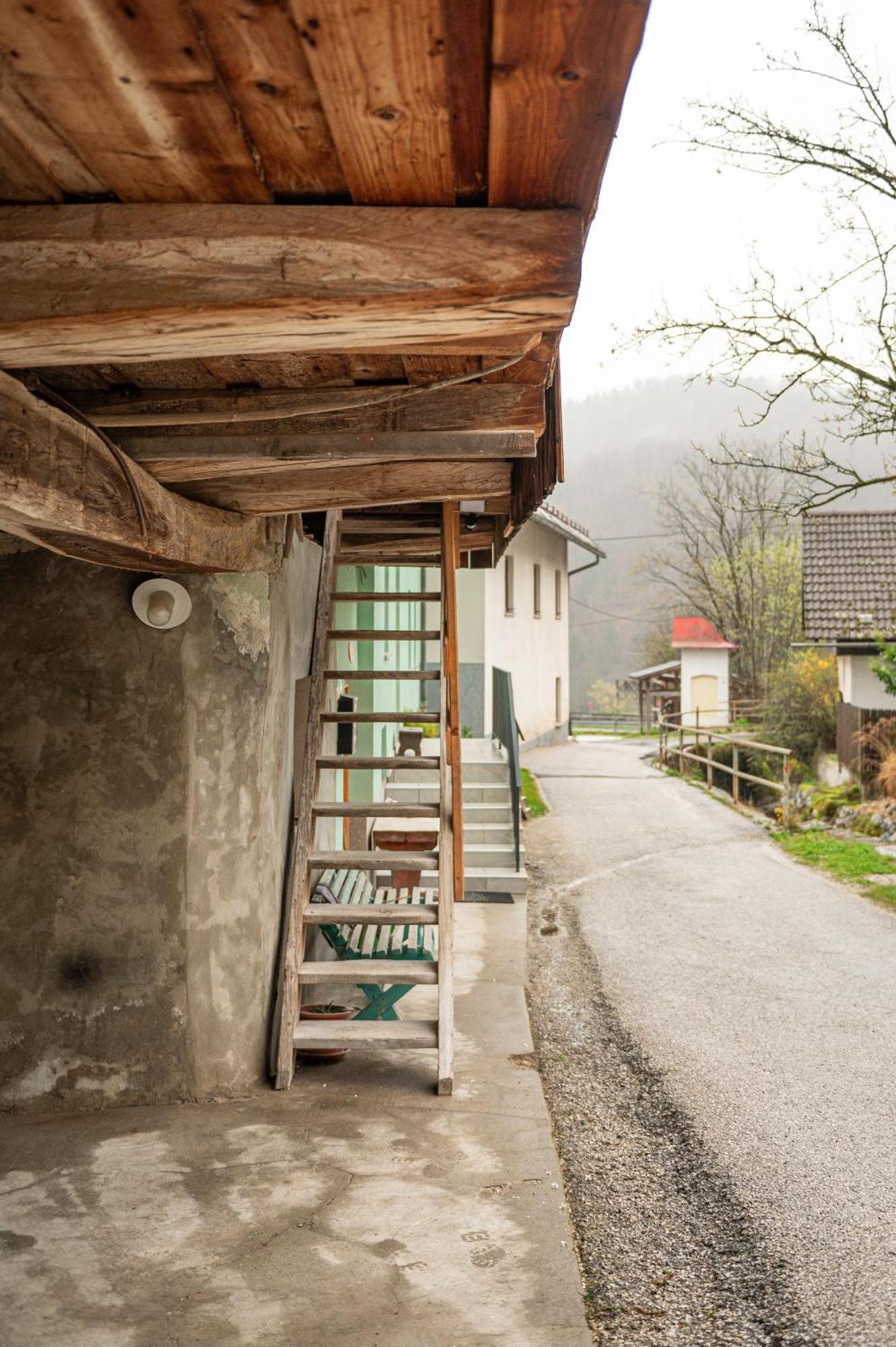 Zelena Hisa Pri Bjov Apartment Bohinjska Bela Luaran gambar