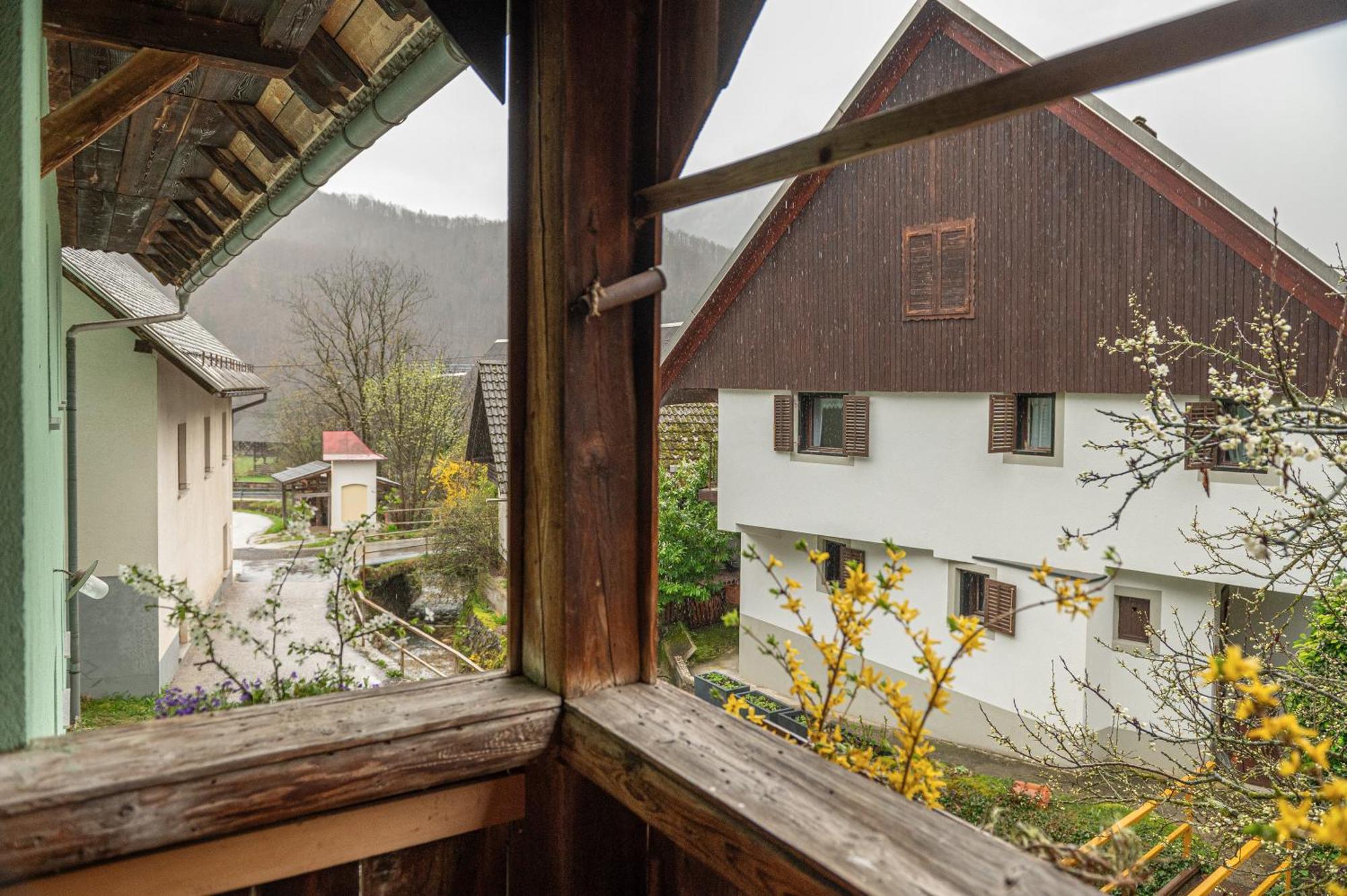 Zelena Hisa Pri Bjov Apartment Bohinjska Bela Luaran gambar